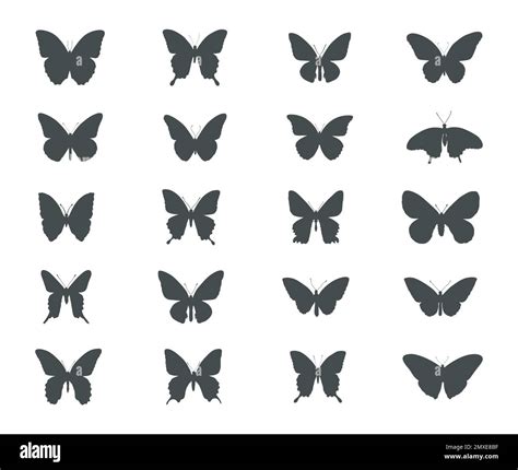 butterfly silhouette|butterfly silhouette images.